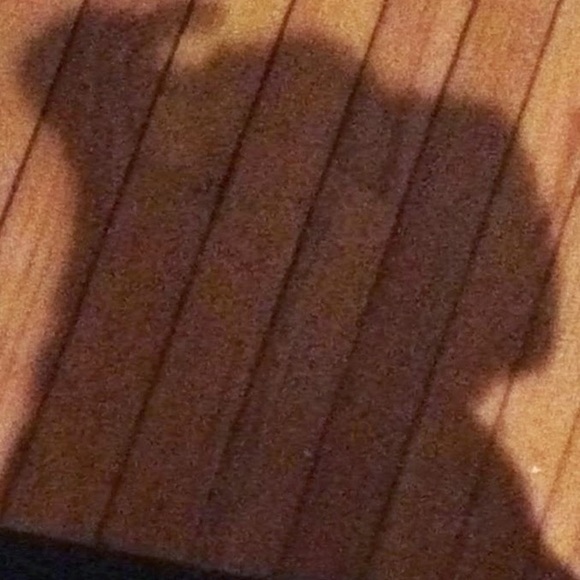 Meet your Posher, Lucy - Picture 1 of 1